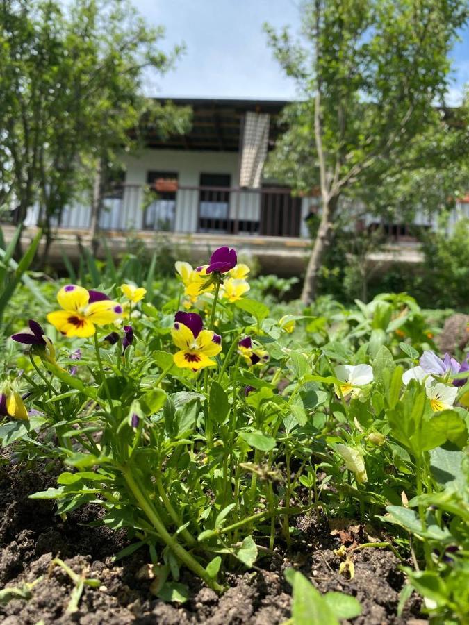 Green Agarak Guest House Near Dendropark, Stepanavan Gyulagarak Exteriér fotografie